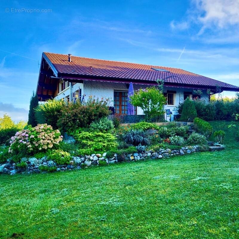 Maison à SAINT-PAUL-EN-CHABLAIS