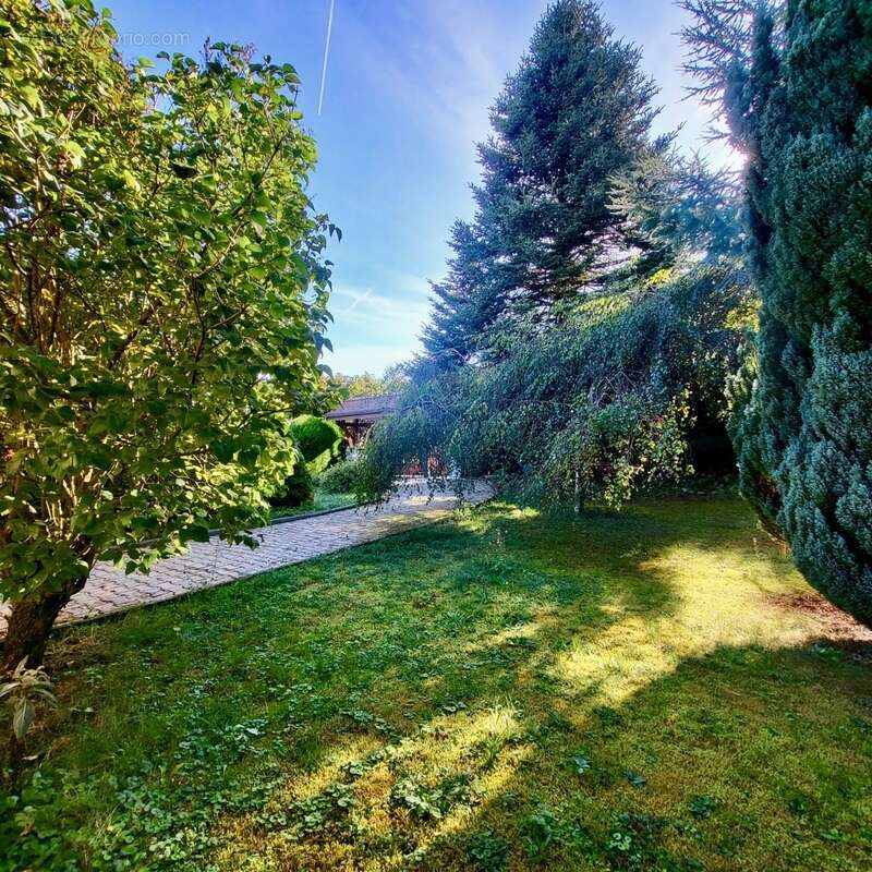 Maison à SAINT-PAUL-EN-CHABLAIS