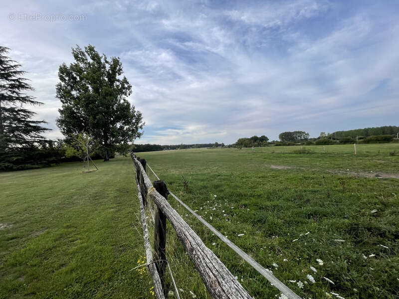 Maison à CLERE-LES-PINS