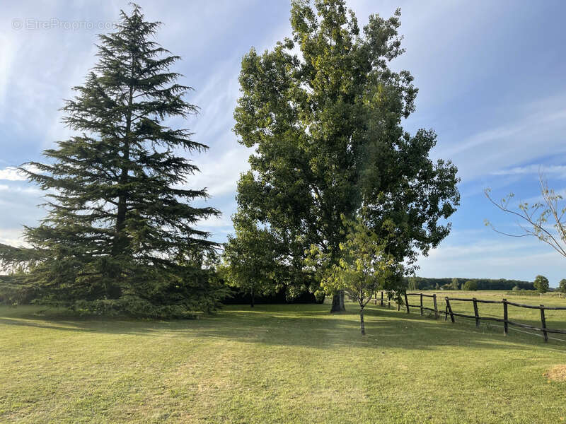 Maison à CLERE-LES-PINS