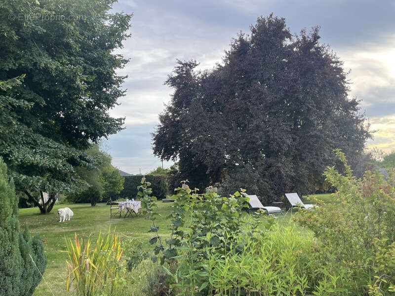 Maison à CLERE-LES-PINS