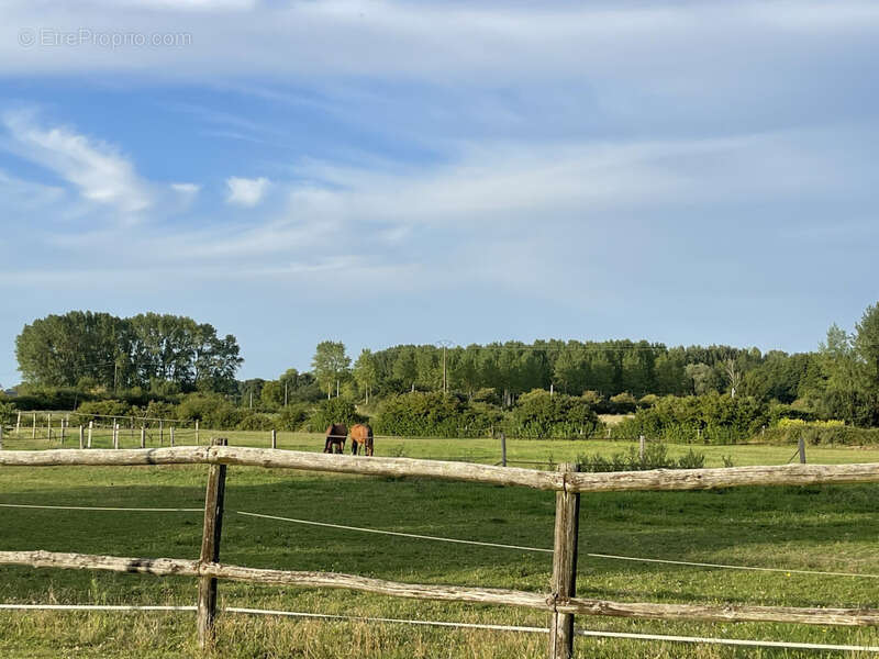 Maison à CLERE-LES-PINS