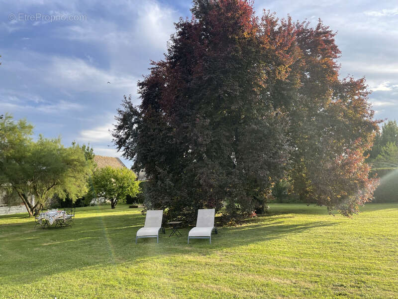 Maison à CLERE-LES-PINS