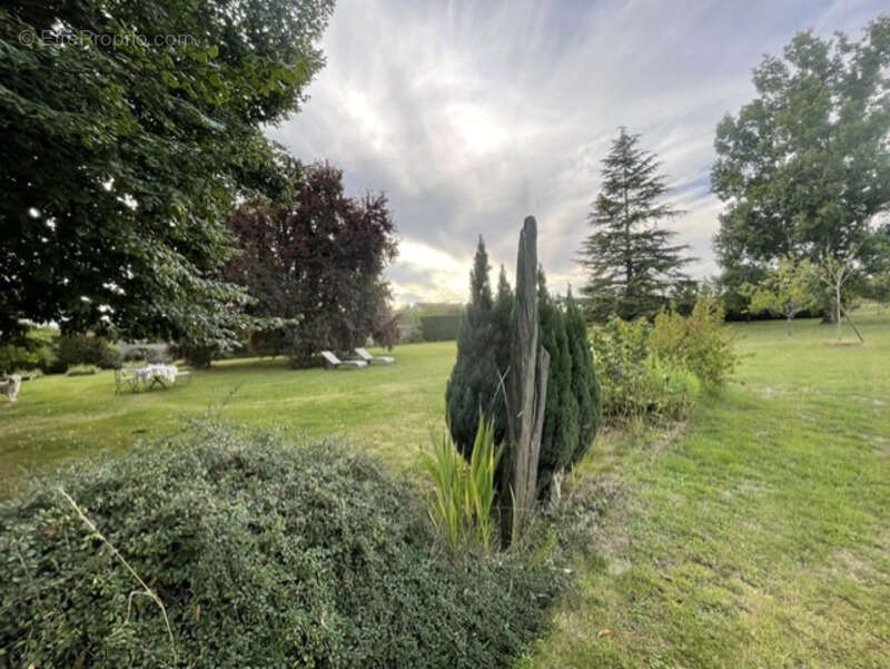 Maison à CLERE-LES-PINS