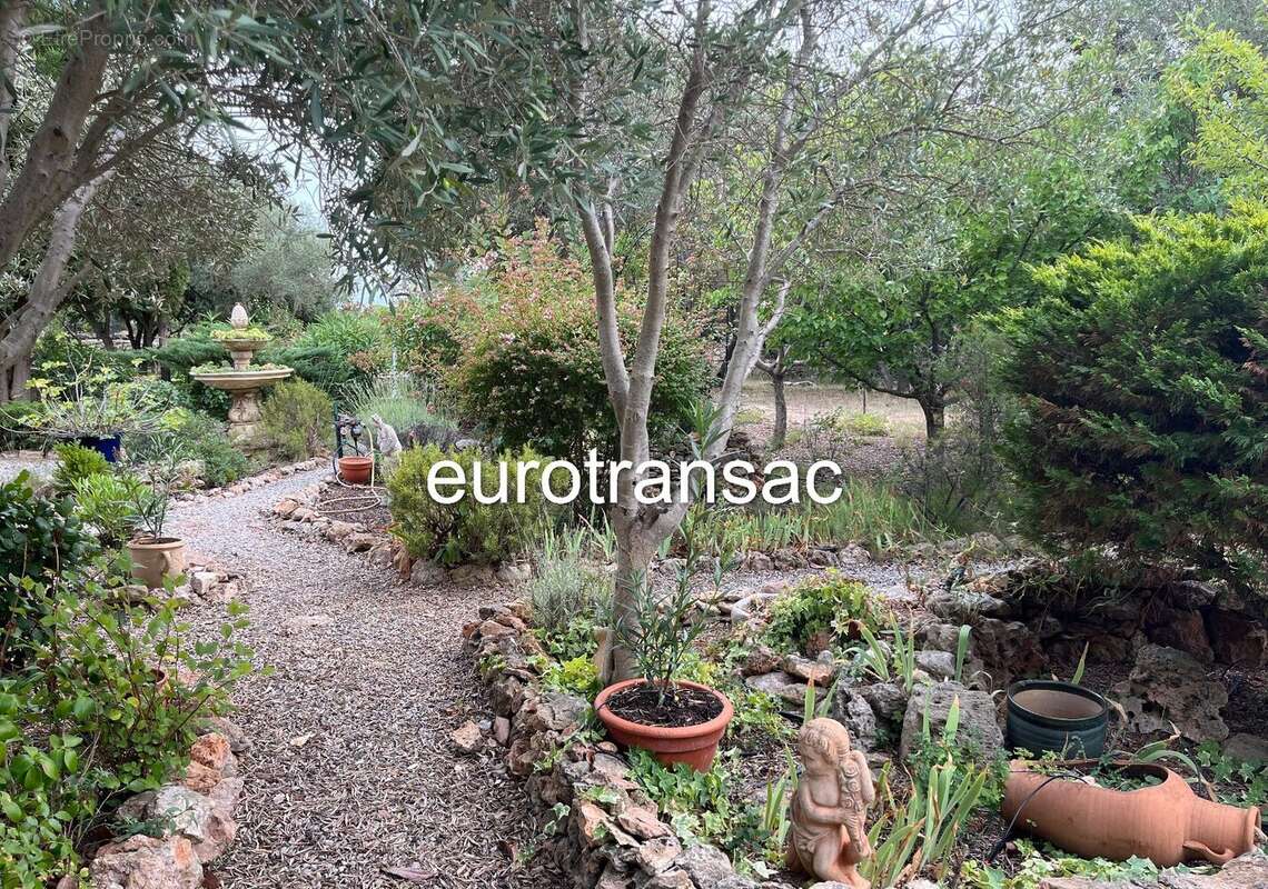 Maison à BALARUC-LE-VIEUX