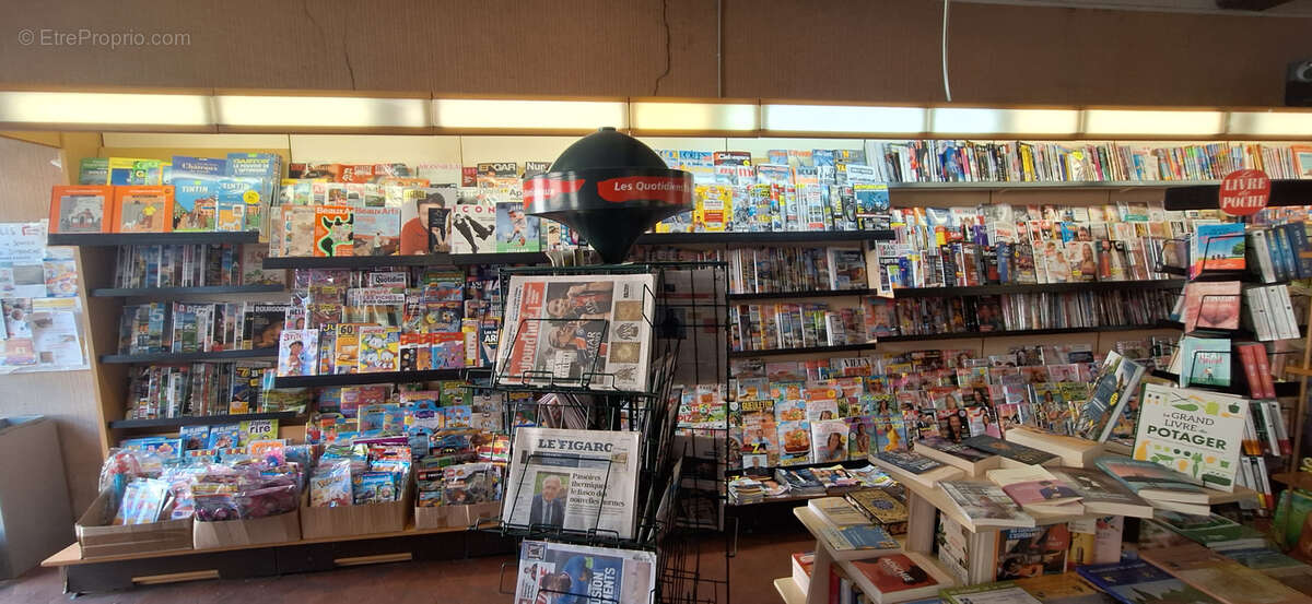 Commerce à VILLENEUVE-L&#039;ARCHEVEQUE