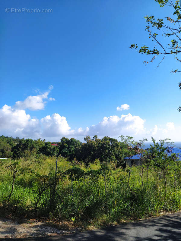 Terrain à VIEUX-HABITANTS