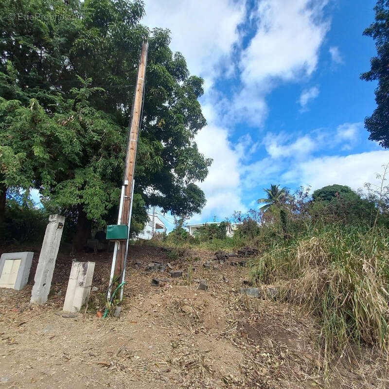 Terrain à VIEUX-HABITANTS