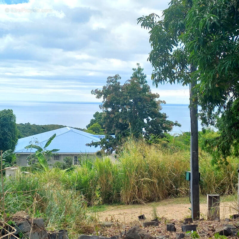 Terrain à VIEUX-HABITANTS