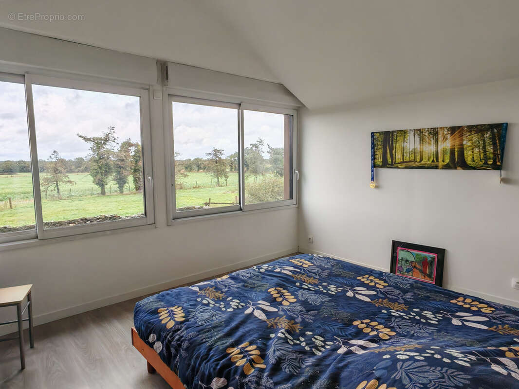 Maison à LE LOUROUX-BECONNAIS