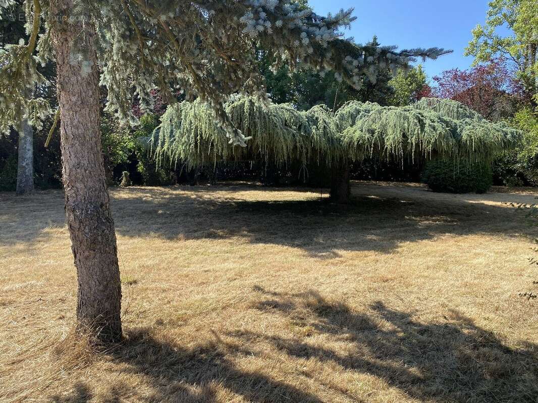 Maison à SAINT-GEORGES-DES-GARDES