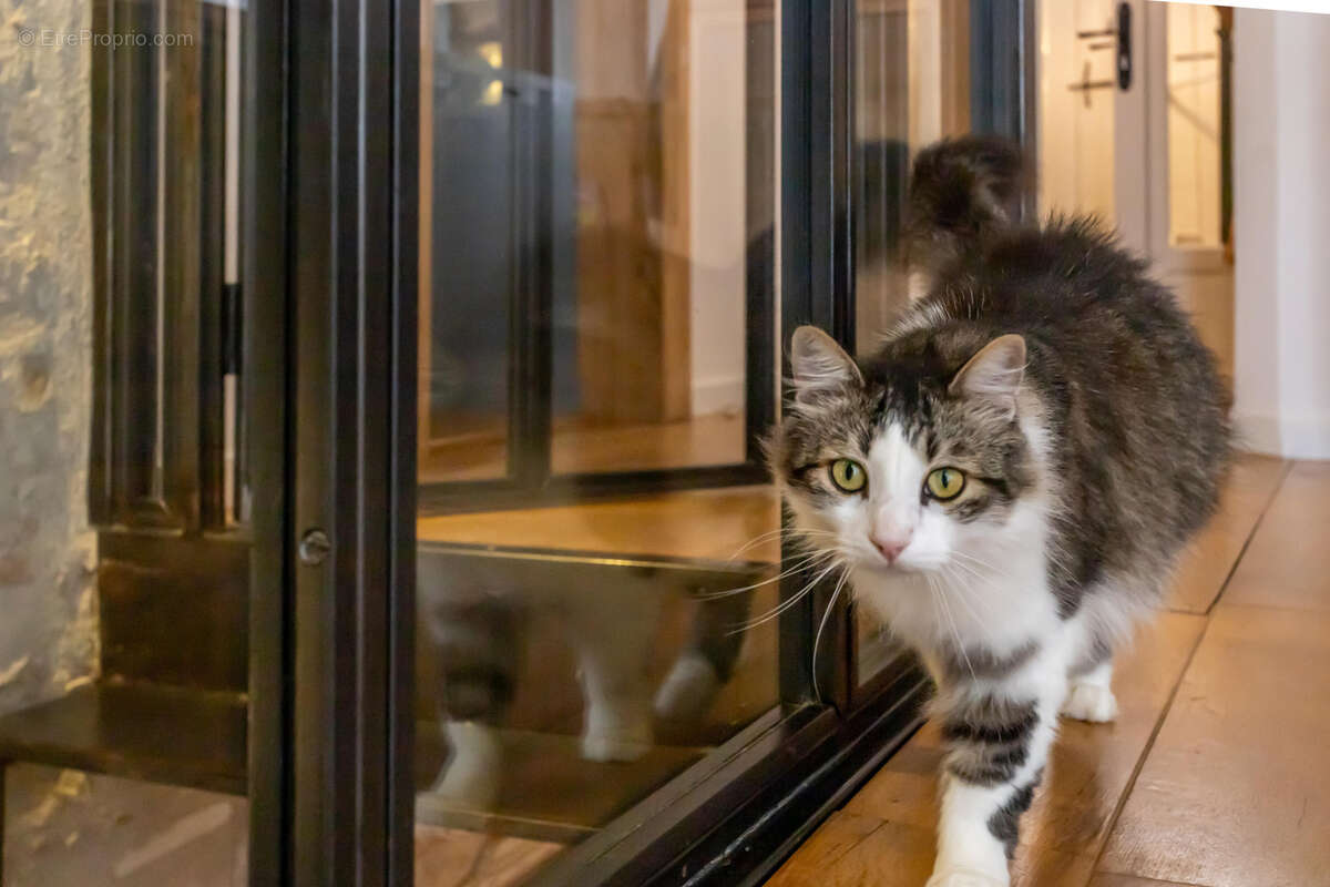 Maison à PENNE-D&#039;AGENAIS