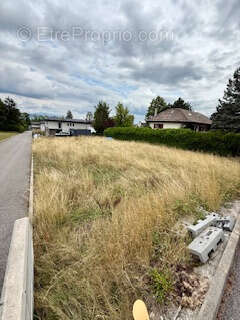 Terrain à DIVONNE-LES-BAINS