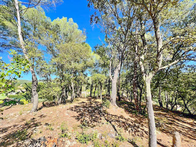 Terrain à SALERNES