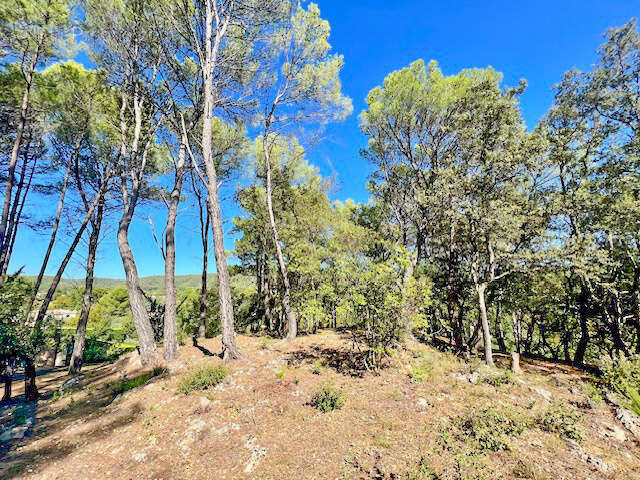 Terrain à SALERNES