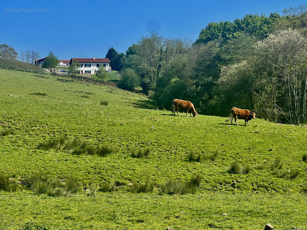 Appartement à BARDOS