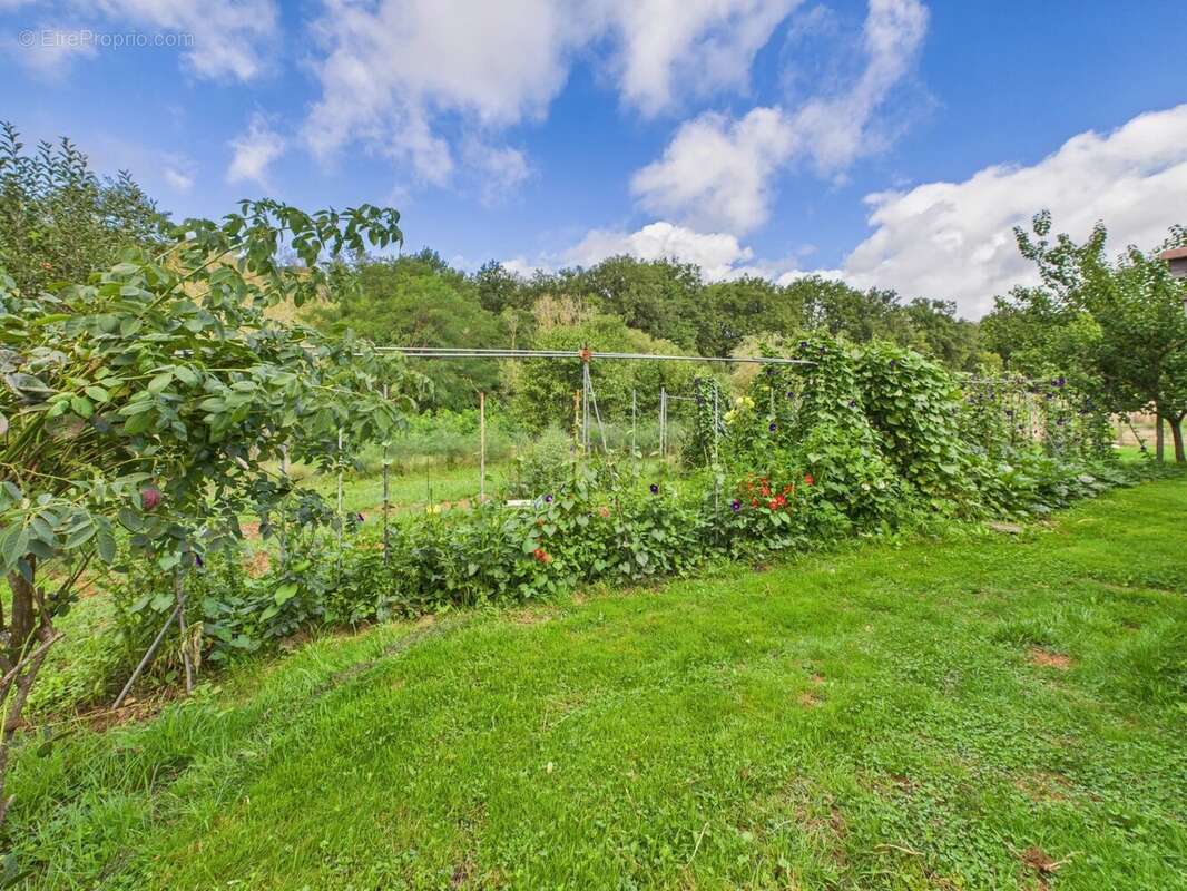 Maison à PAMPELONNE