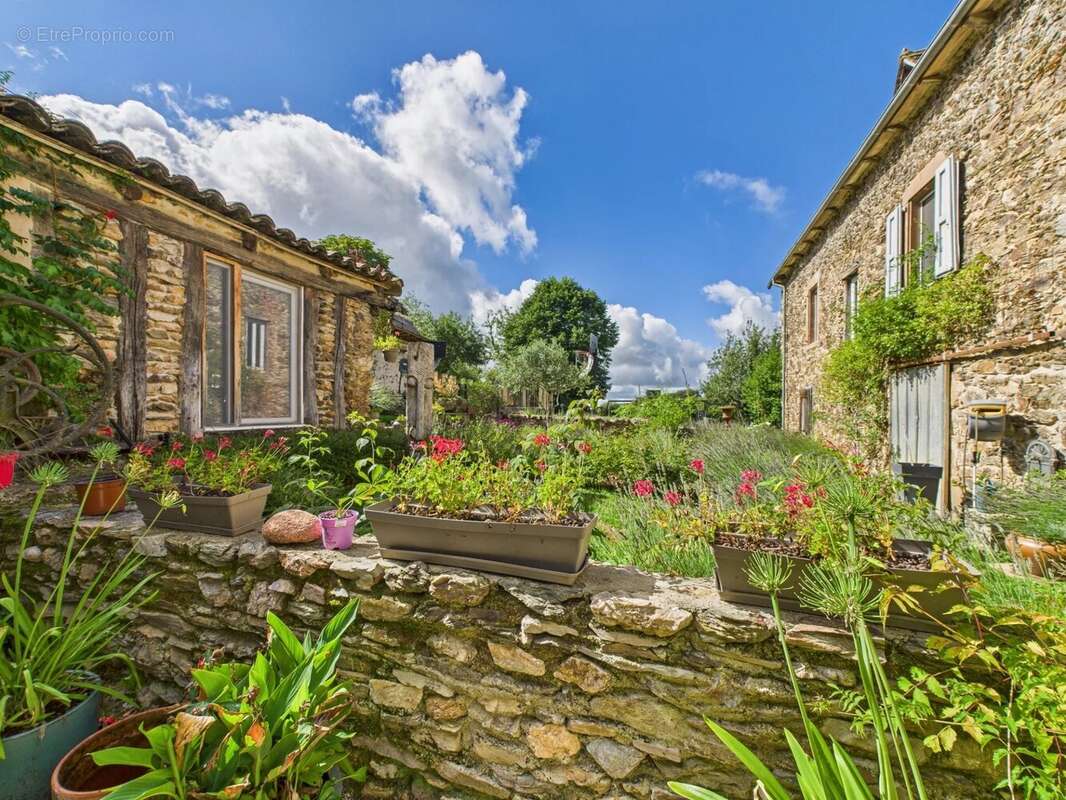 Maison à PAMPELONNE