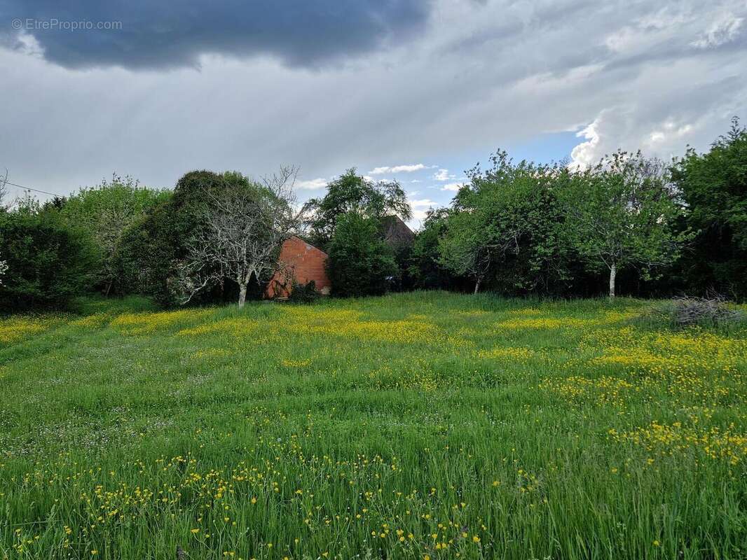terrain - Maison à LE BUGUE