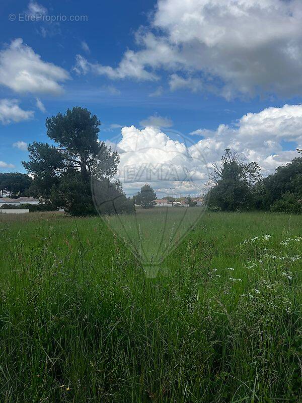 Terrain à SAINT-AUGUSTIN