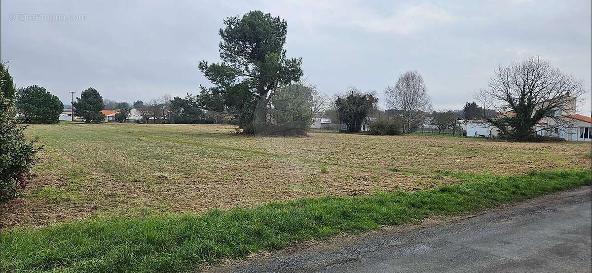 Terrain à SAINT-AUGUSTIN