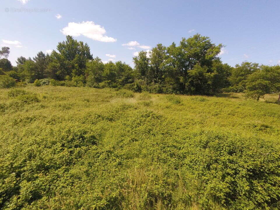 SECHOIR - STOCKAGE - MARAICHER - ARTISAN - NON CONSTRUCTIBLE  - - Maison à GRIGNOLS