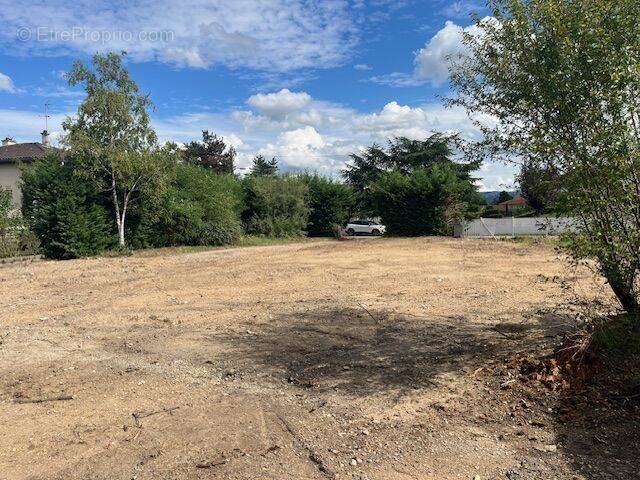 Terrain à VEAUCHE