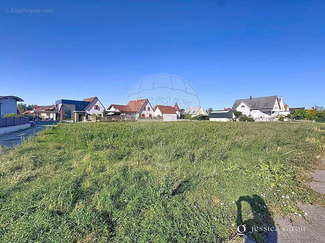 Terrain à LOGELHEIM