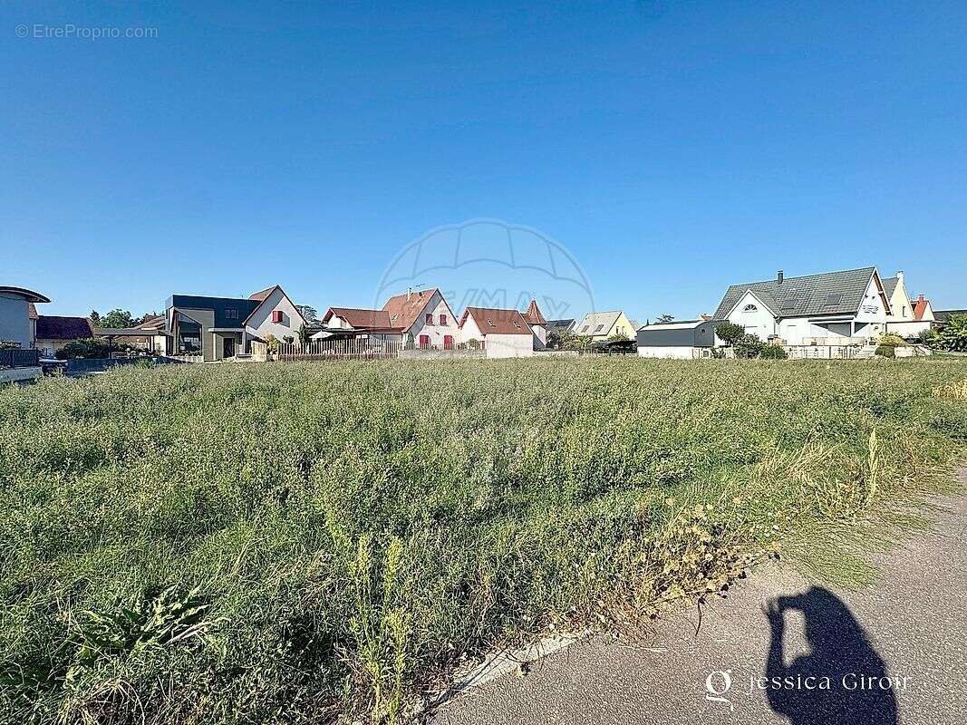 Terrain à LOGELHEIM