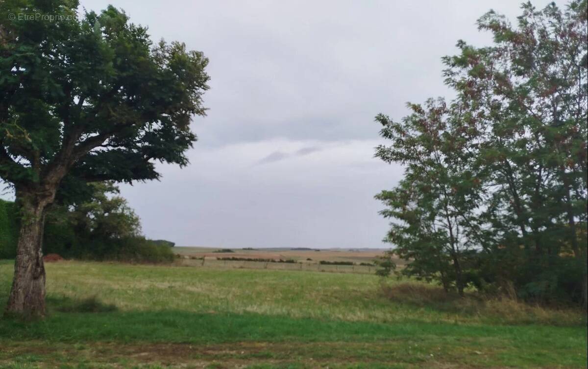 Terrain à MAROLLES-SOUS-LIGNIERES