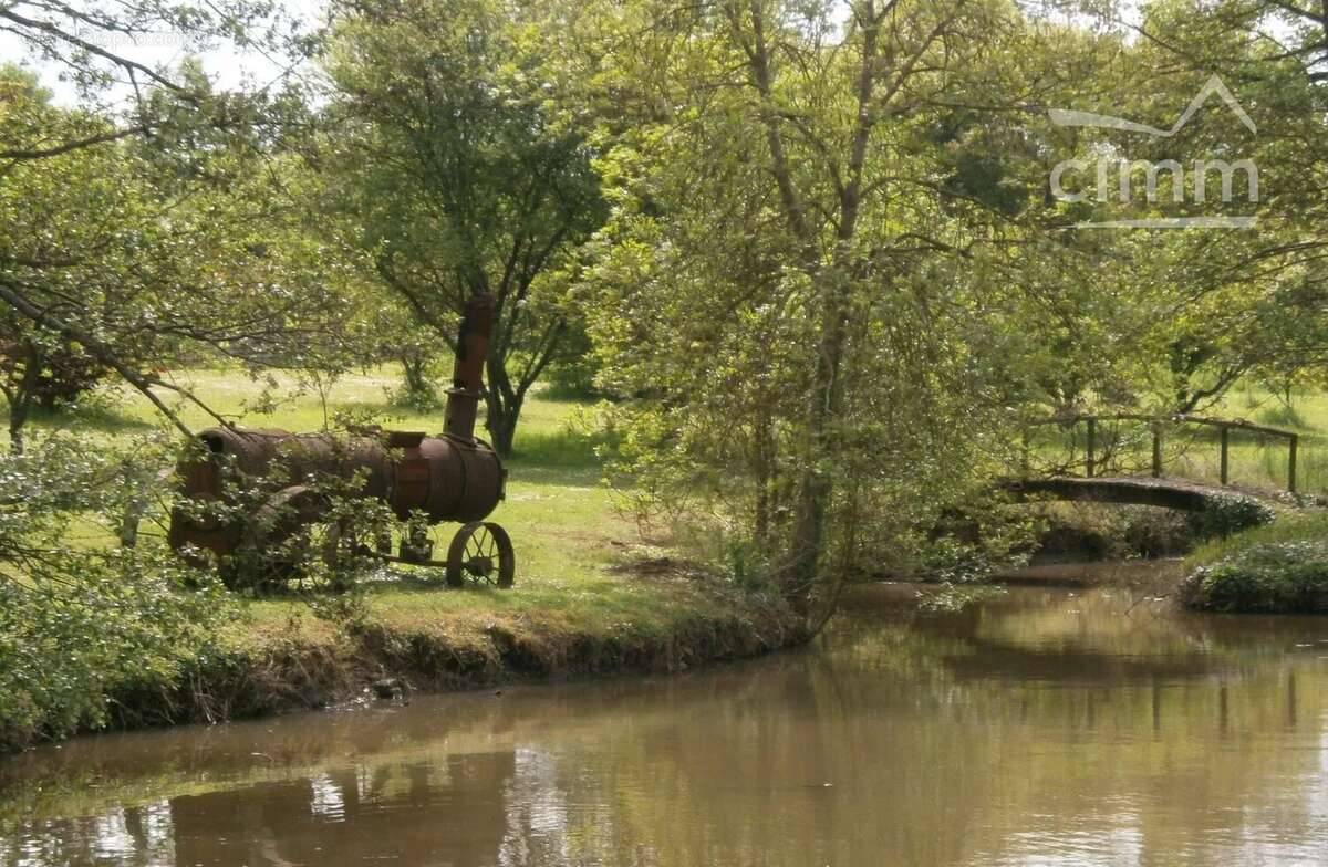 Maison à SAINT-FARGEAU