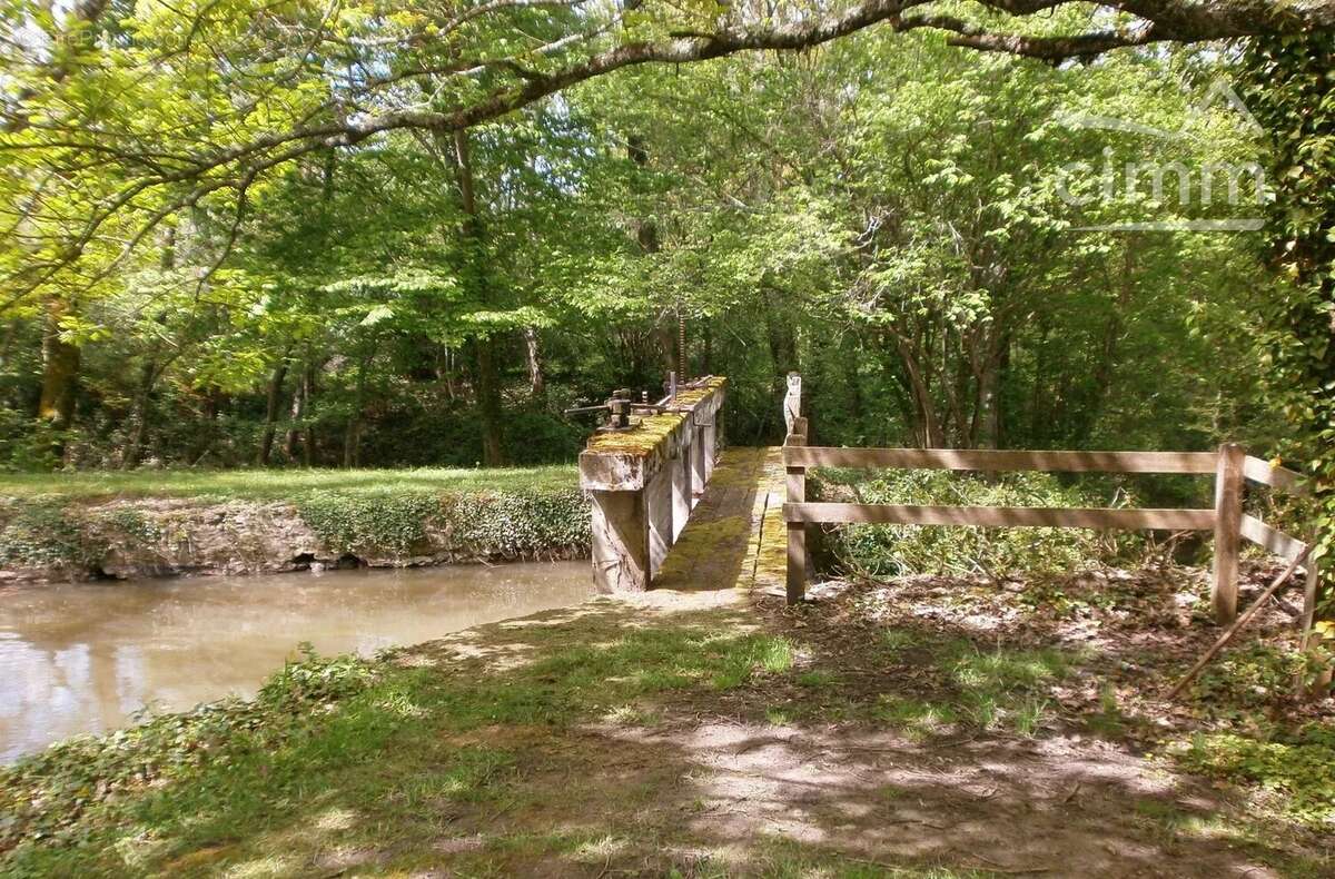 Maison à SAINT-FARGEAU