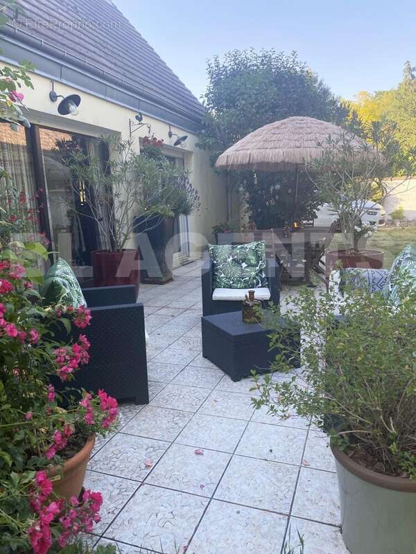 Terrasse 2 - Maison à SAINT-SYMPHORIEN-LE-CHATEAU