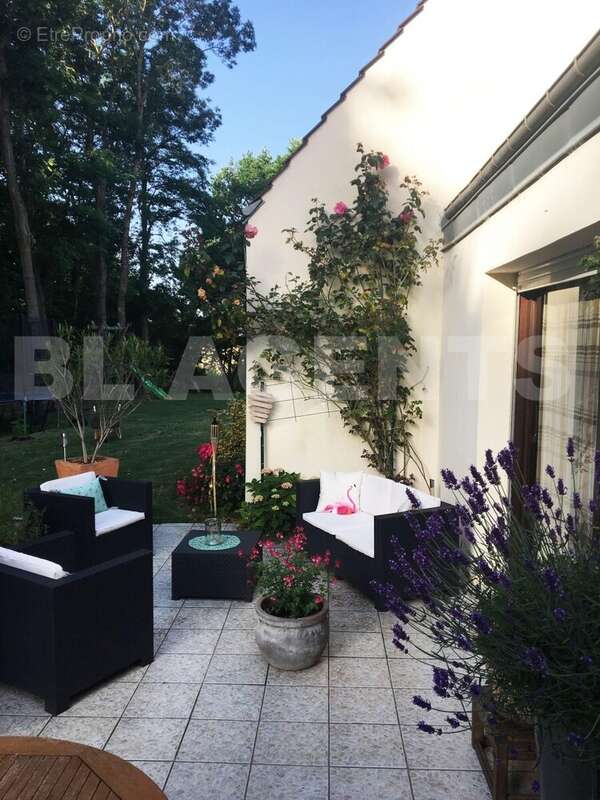 Terrasse - Maison à SAINT-SYMPHORIEN-LE-CHATEAU