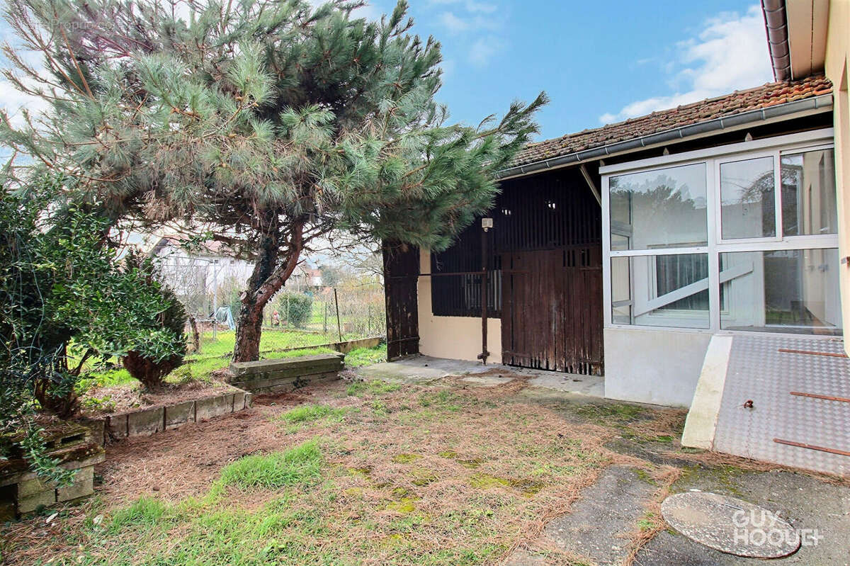 Maison à DANNEMARIE