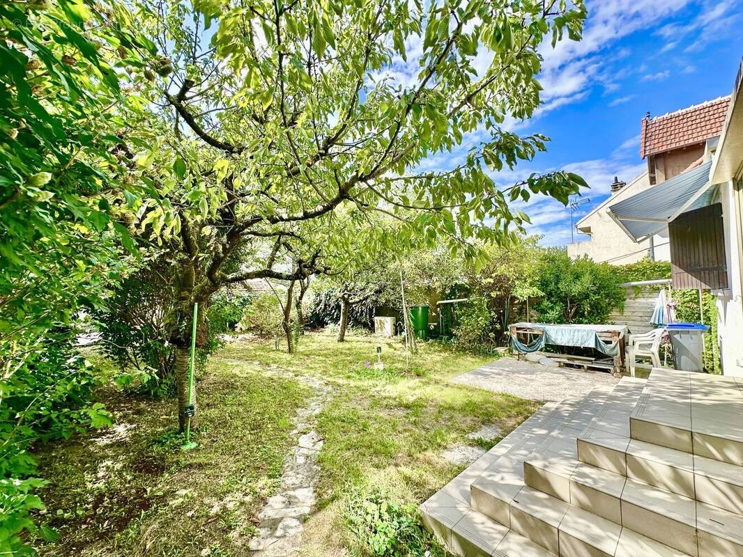 Maison à MAISONS-ALFORT