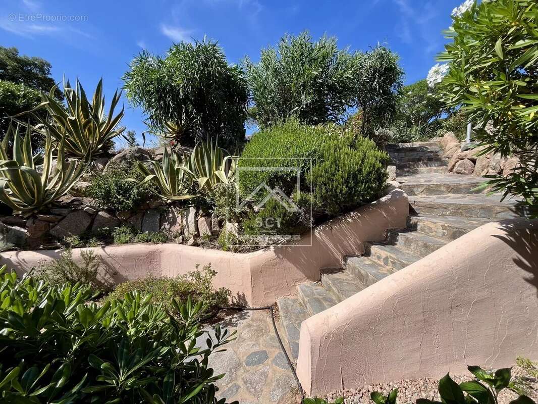 Maison à PORTO-VECCHIO