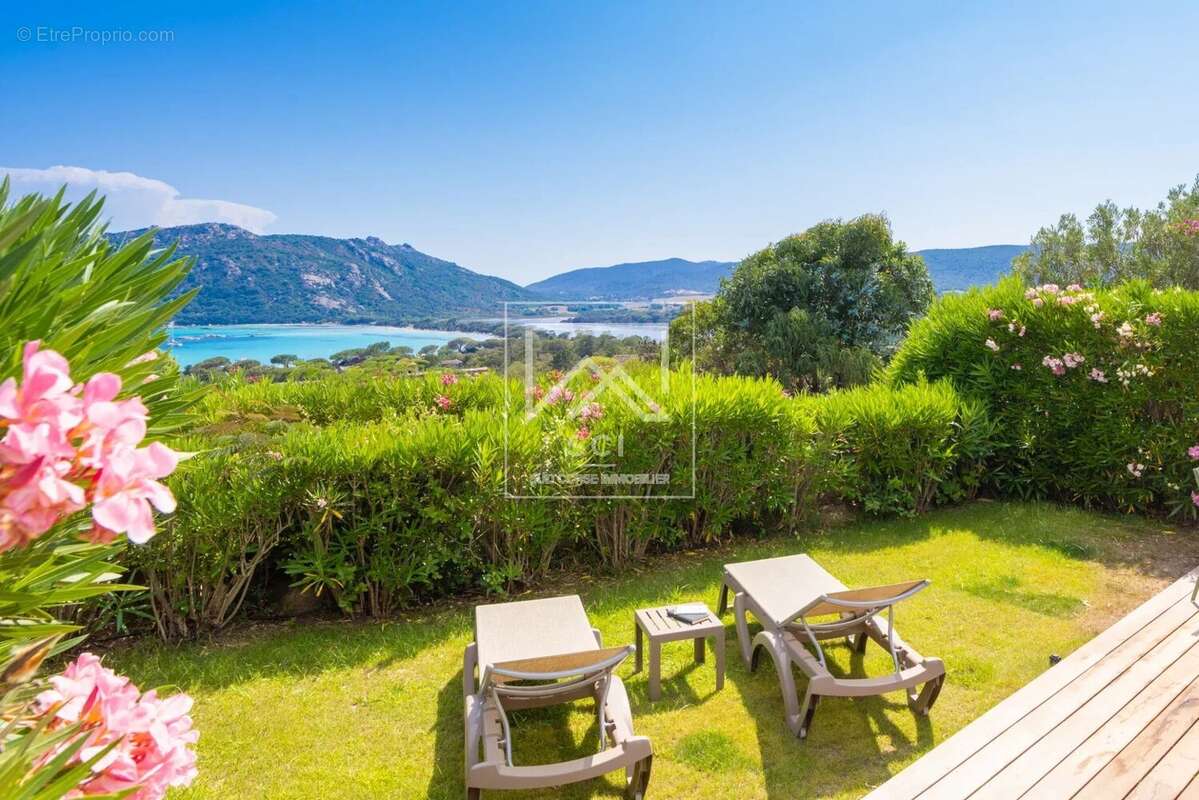 Maison à PORTO-VECCHIO