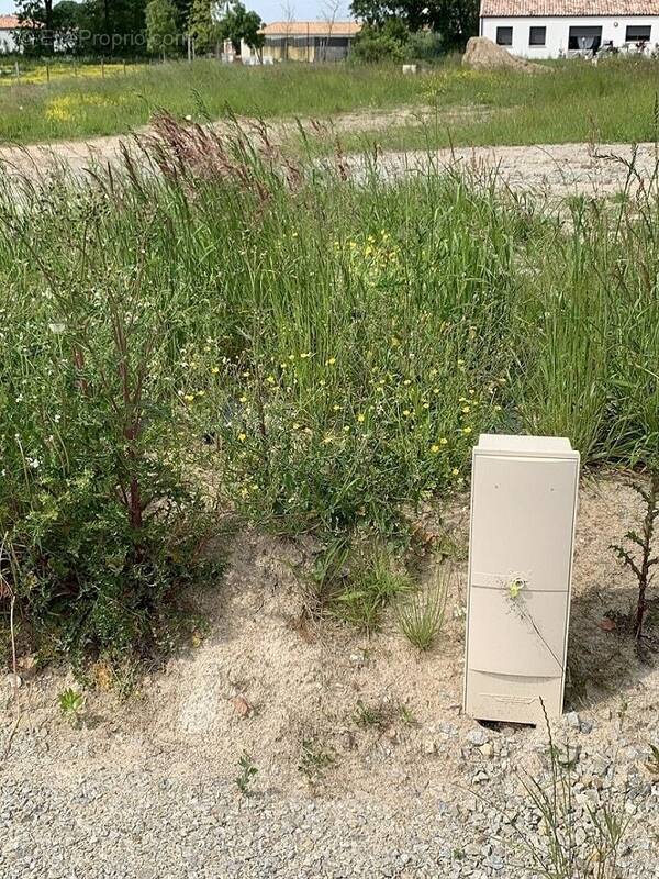 Terrain à SAINT-MICHEL-CHEF-CHEF