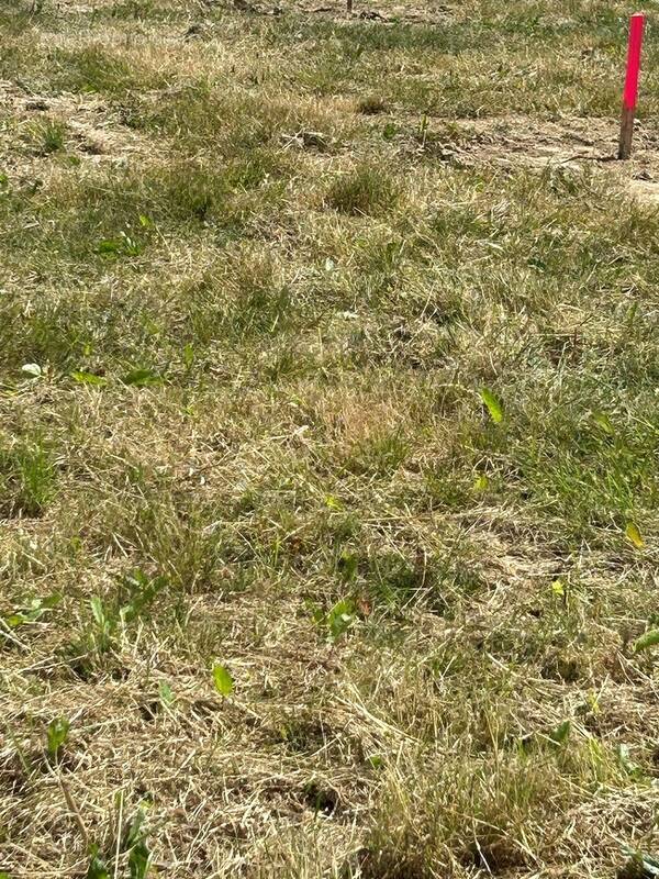 Terrain à SAINT-MICHEL-CHEF-CHEF