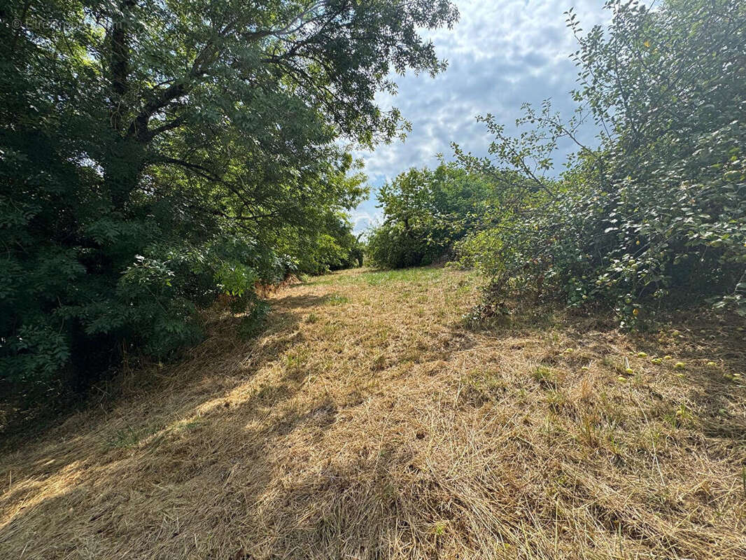 Maison à MONFLANQUIN