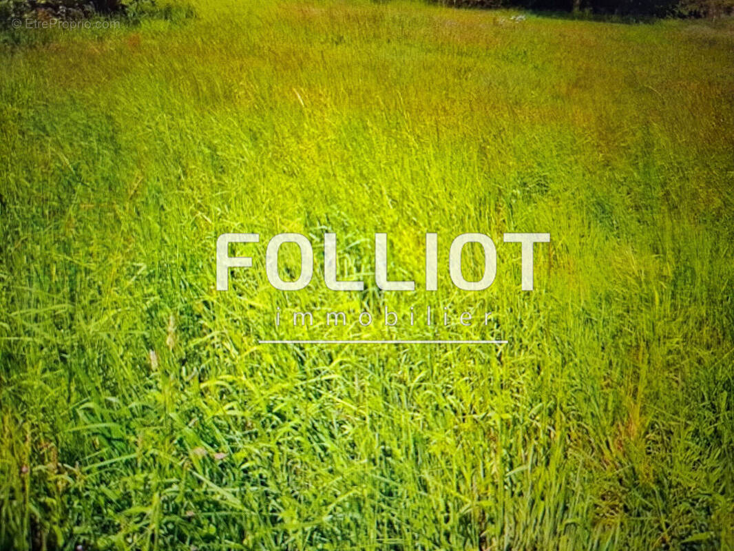 Terrain à LINGREVILLE