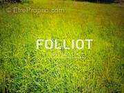 Terrain à LINGREVILLE