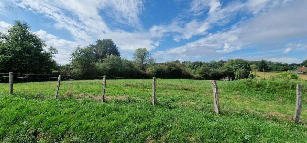 Terrain à LE MIROIR