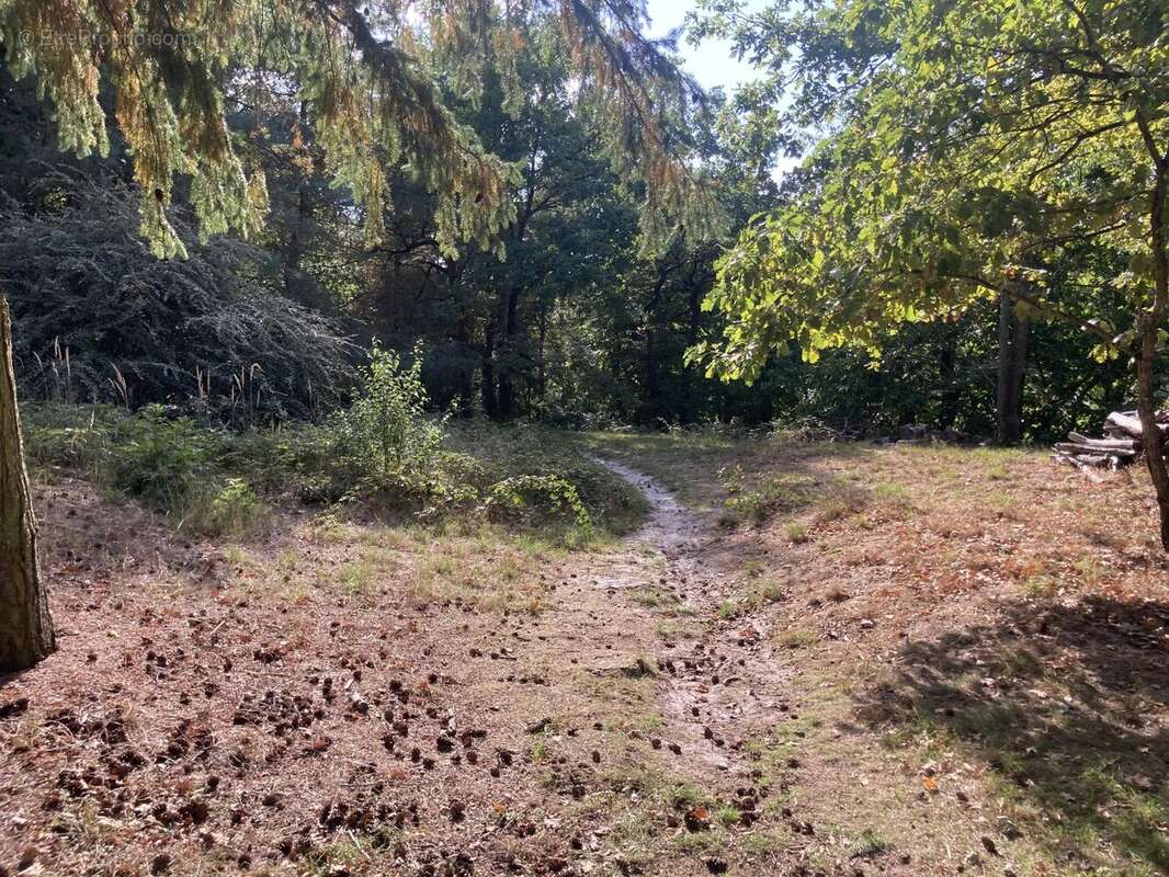 Appartement à RAMBOUILLET