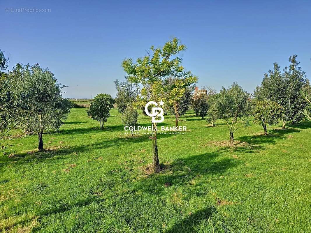 Maison à PUYRAVAULT