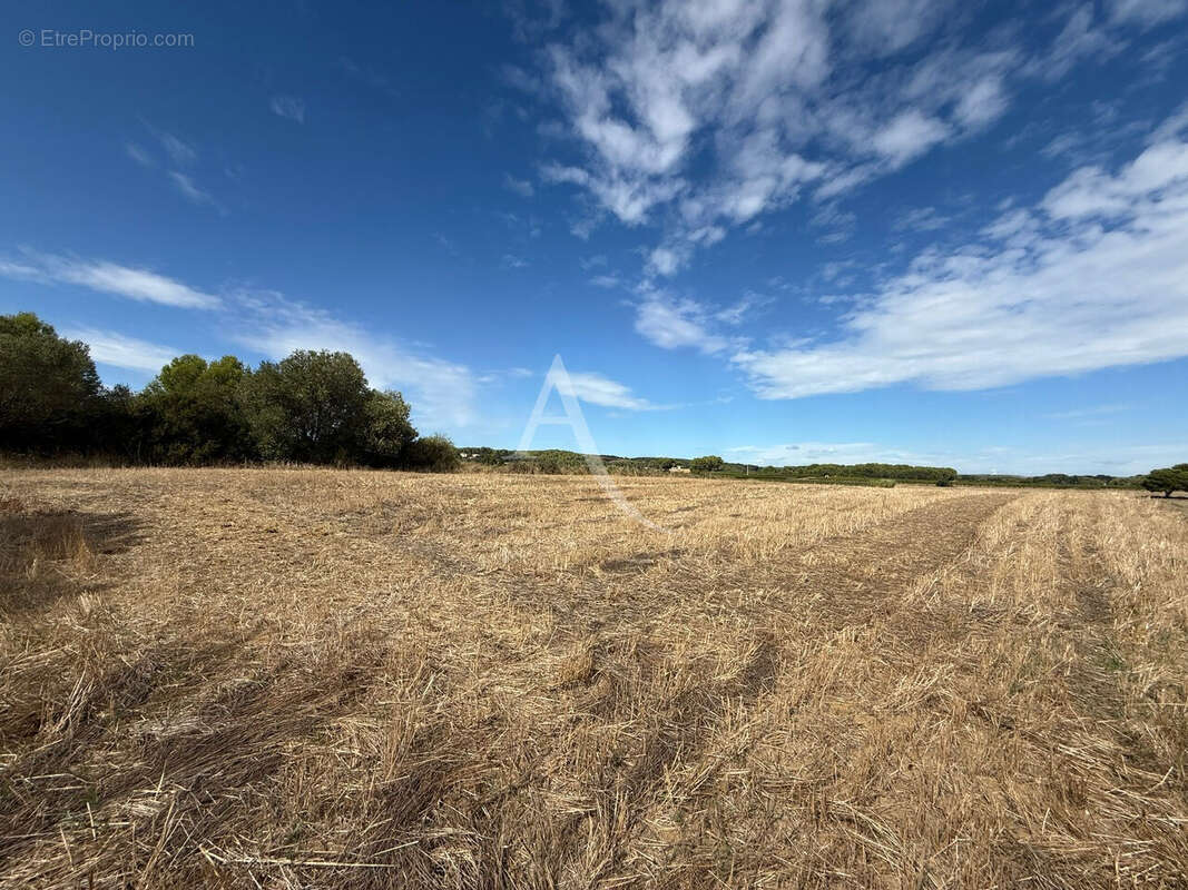 Terrain à MONTAGNAC