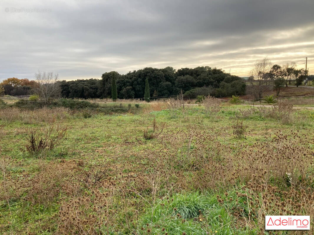 Terrain à SAINT-GILLES