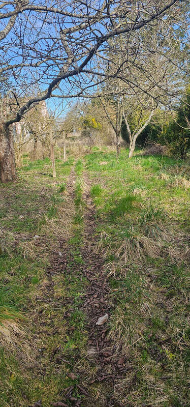 Maison à BOISSY-LE-CHATEL