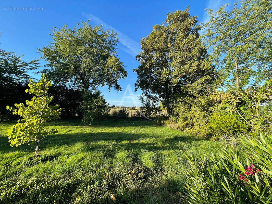 Maison à JUIGNE-SUR-LOIRE